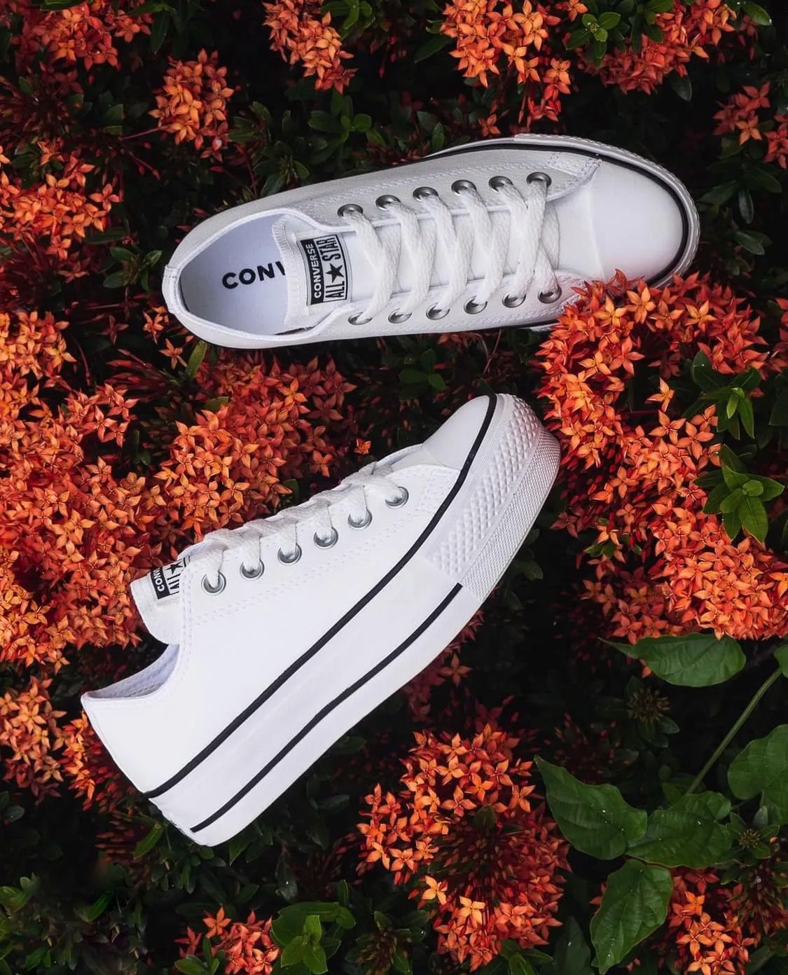 Converse Chuck Taylor All Star Lift Low White