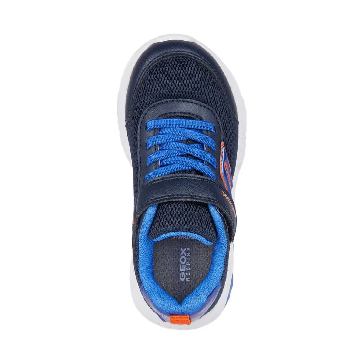 Geox Boy's Assister Navy/Royal (Sizes 28-34)