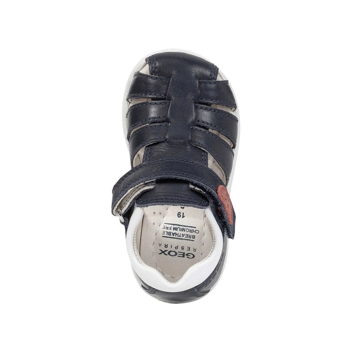 Geox Toddlers Macchia Navy/White