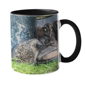 Hedgehog with Boot Mugs