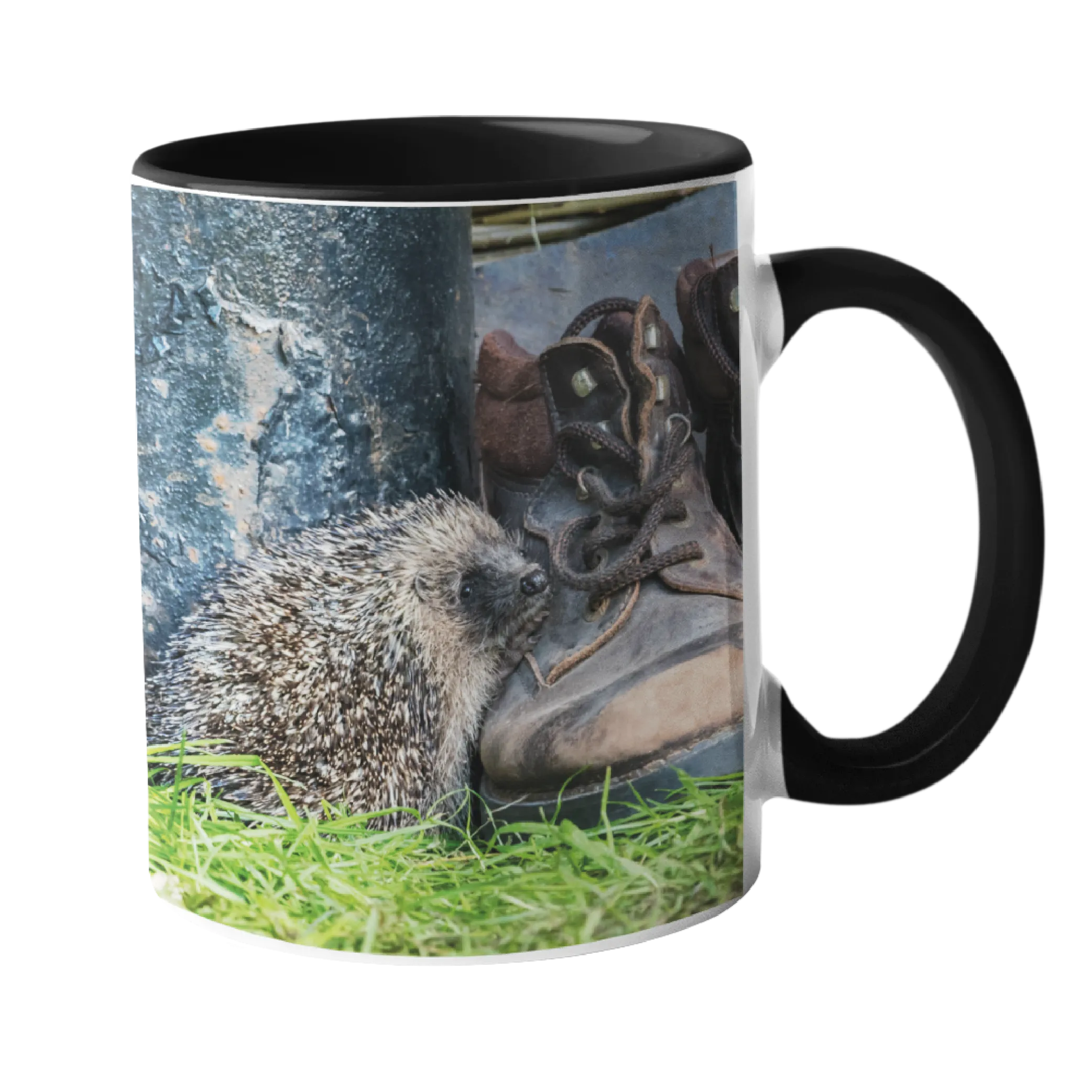 Hedgehog with Boot Mugs